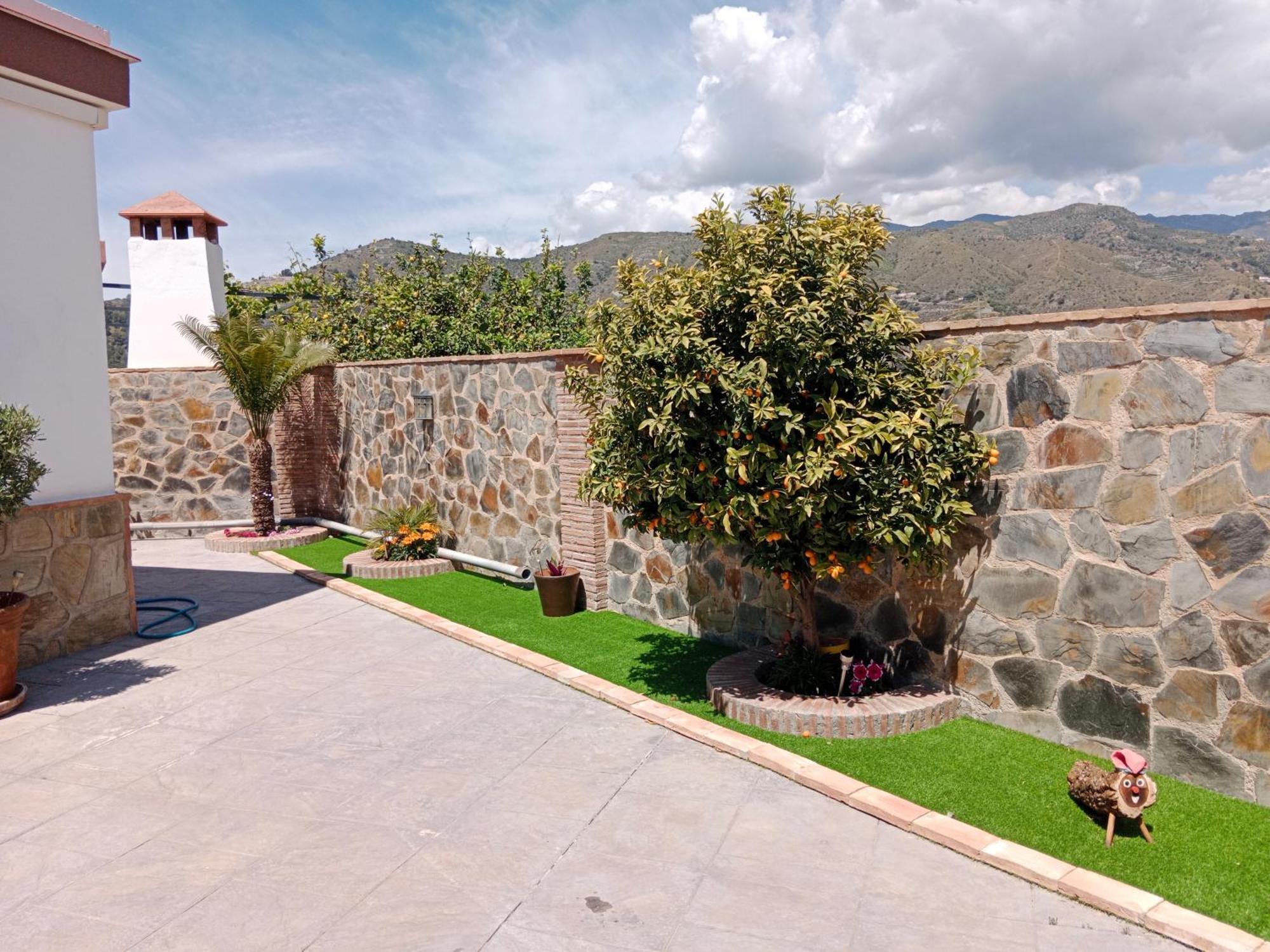 Camarón
