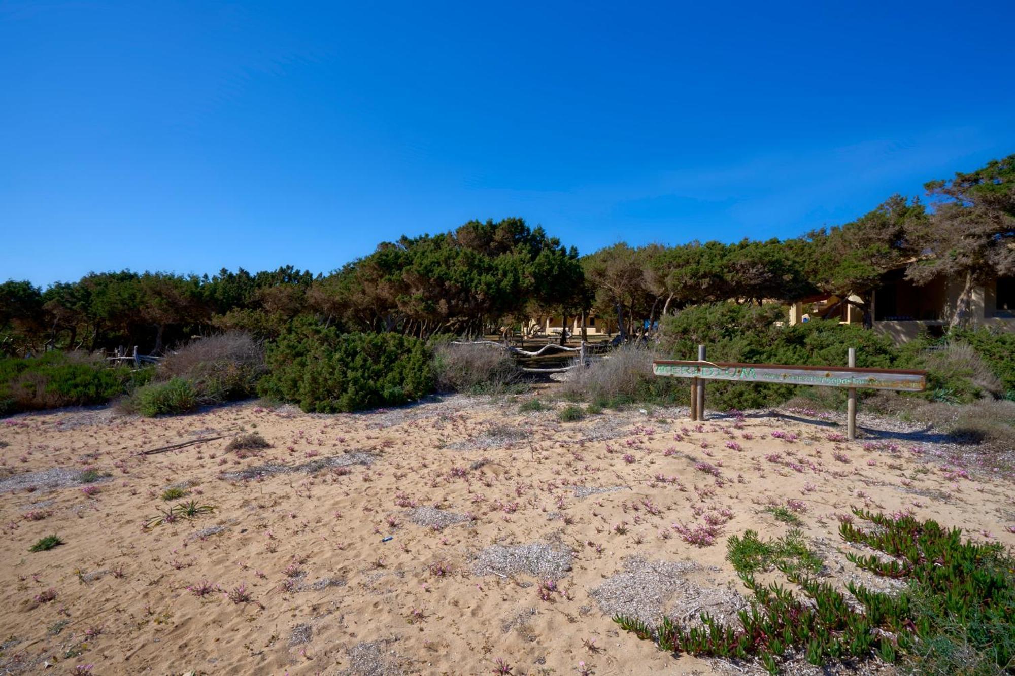 Meridium Formentera By Tentol