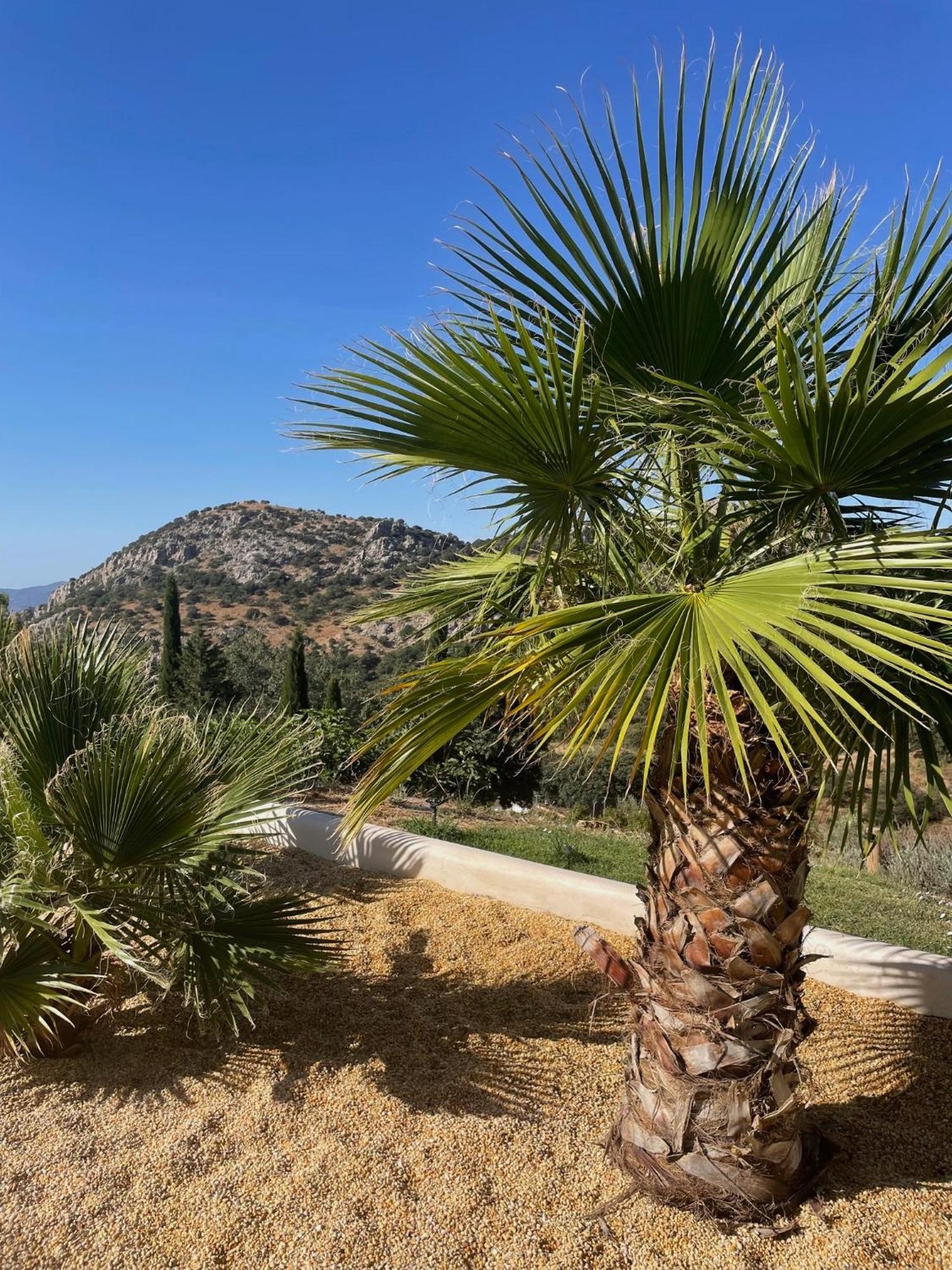 Rancho Apartamento