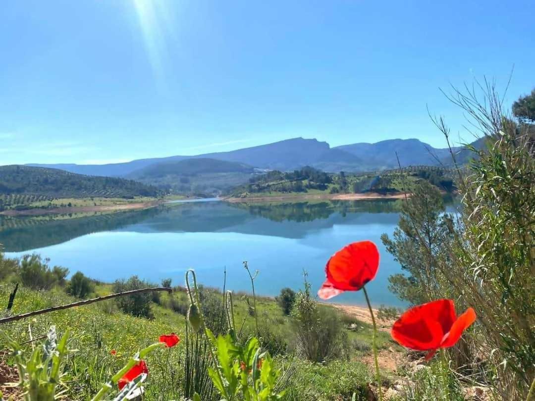 Hotel Cortijo Del Cura By Travel Cortijos Nuevos