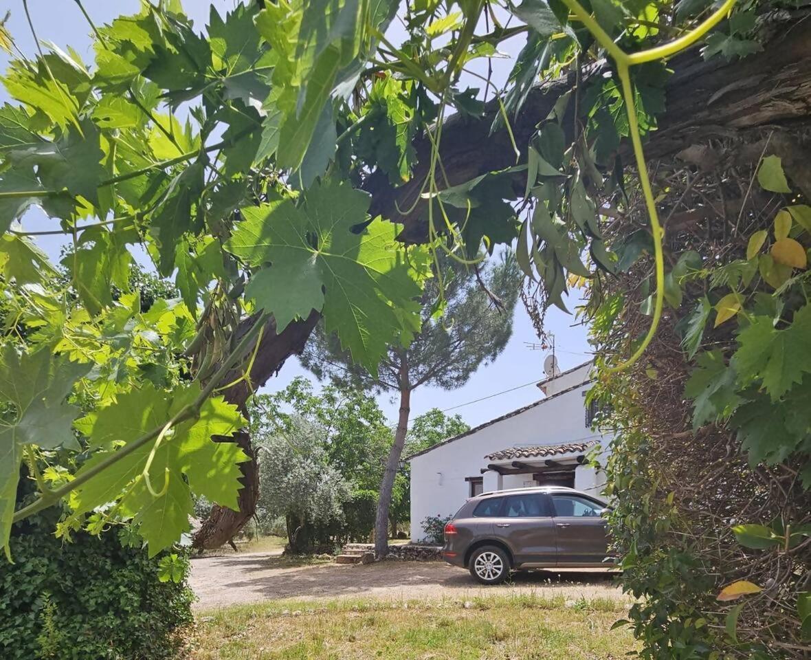 Cortijo Del Cura By Travel Hotel