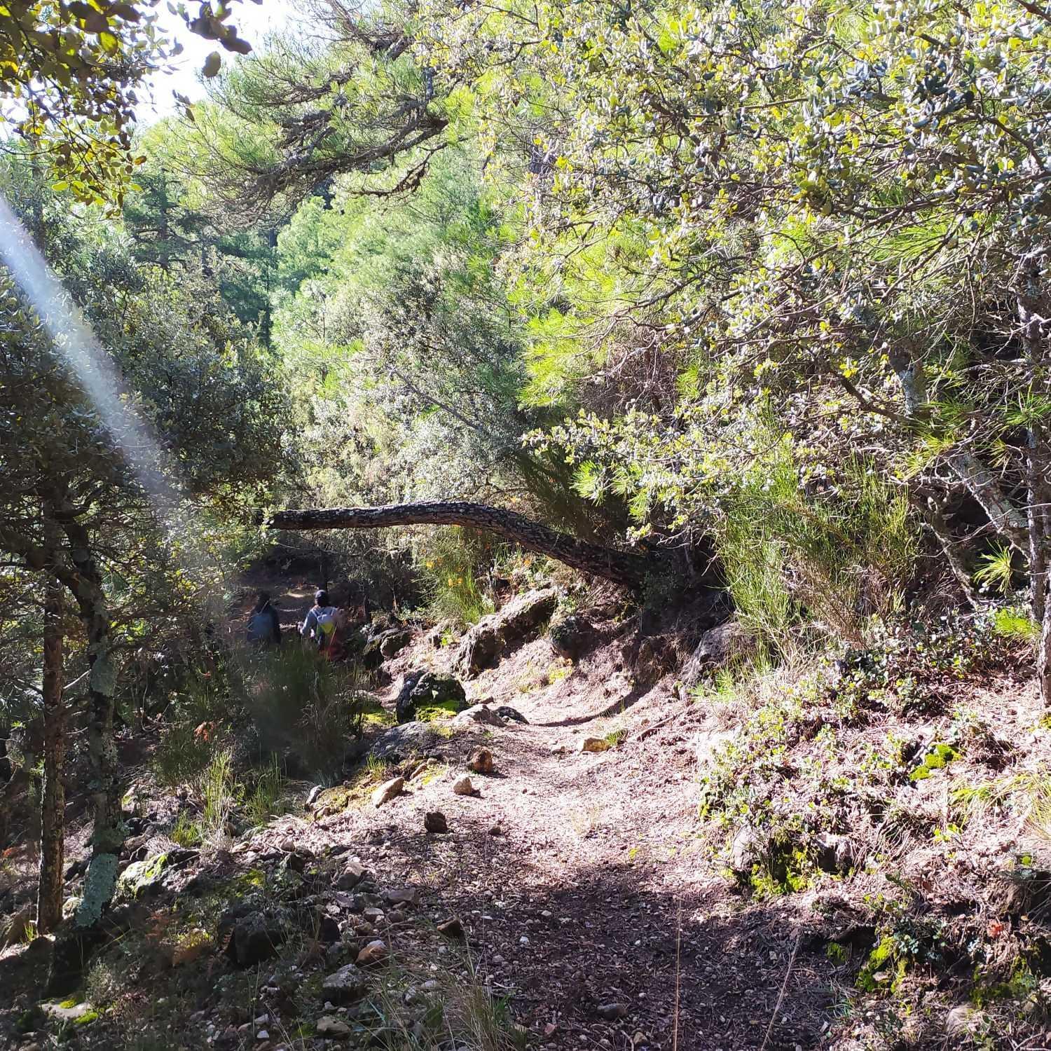 Cortijo Del Cura By Travel Hotel *
