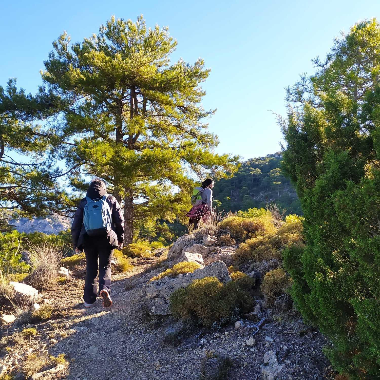 Cortijo Del Cura By Travel *