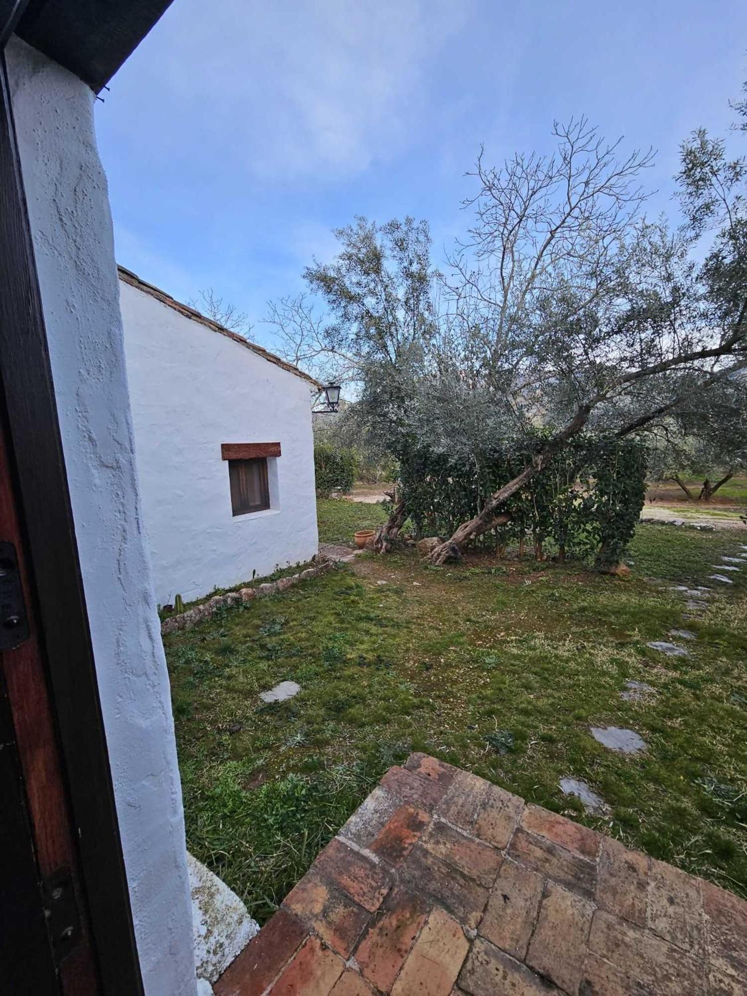 Cortijo Del Cura By Travel *