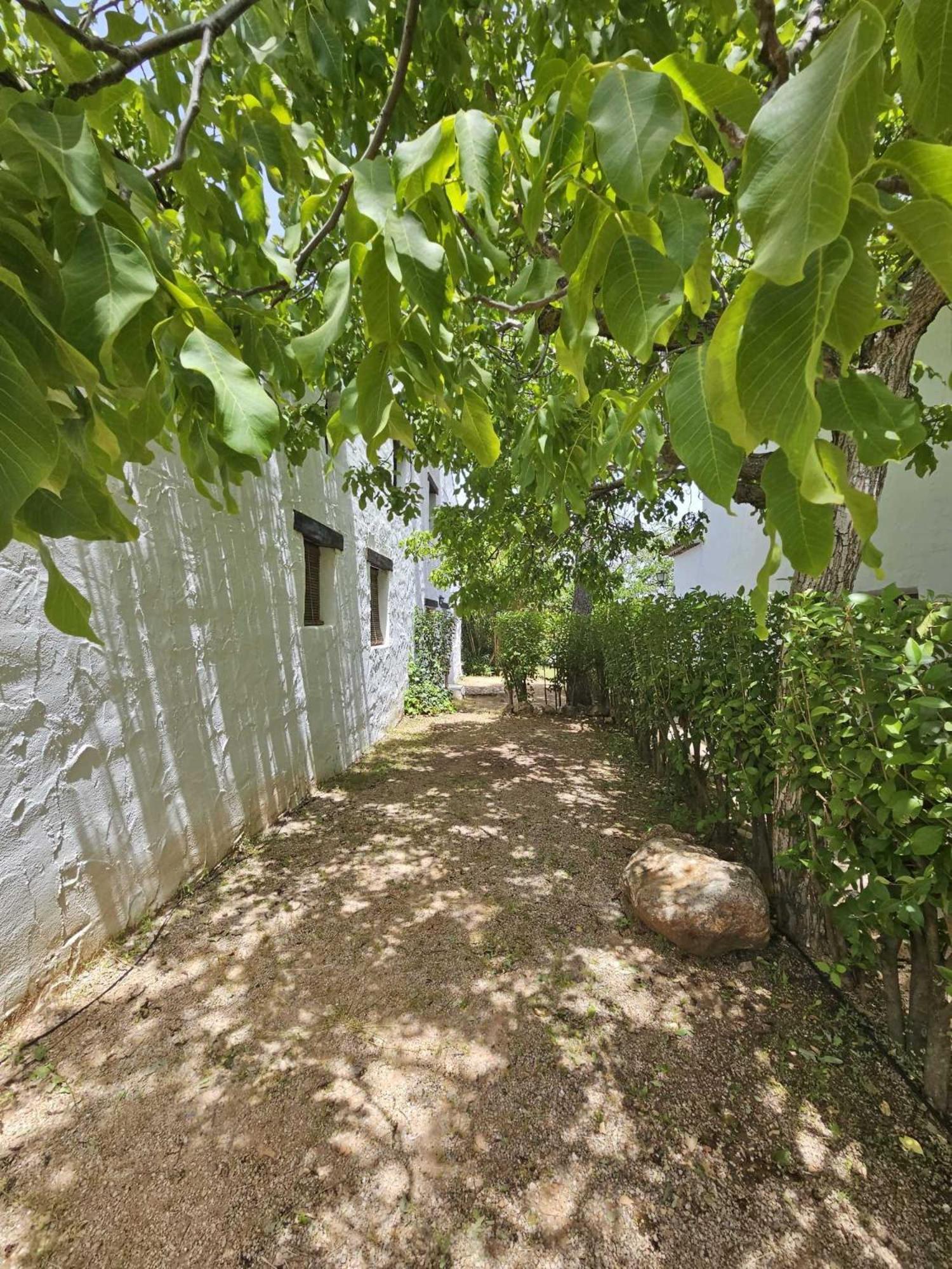 Cortijo Del Cura By Travel * Cortijos Nuevos