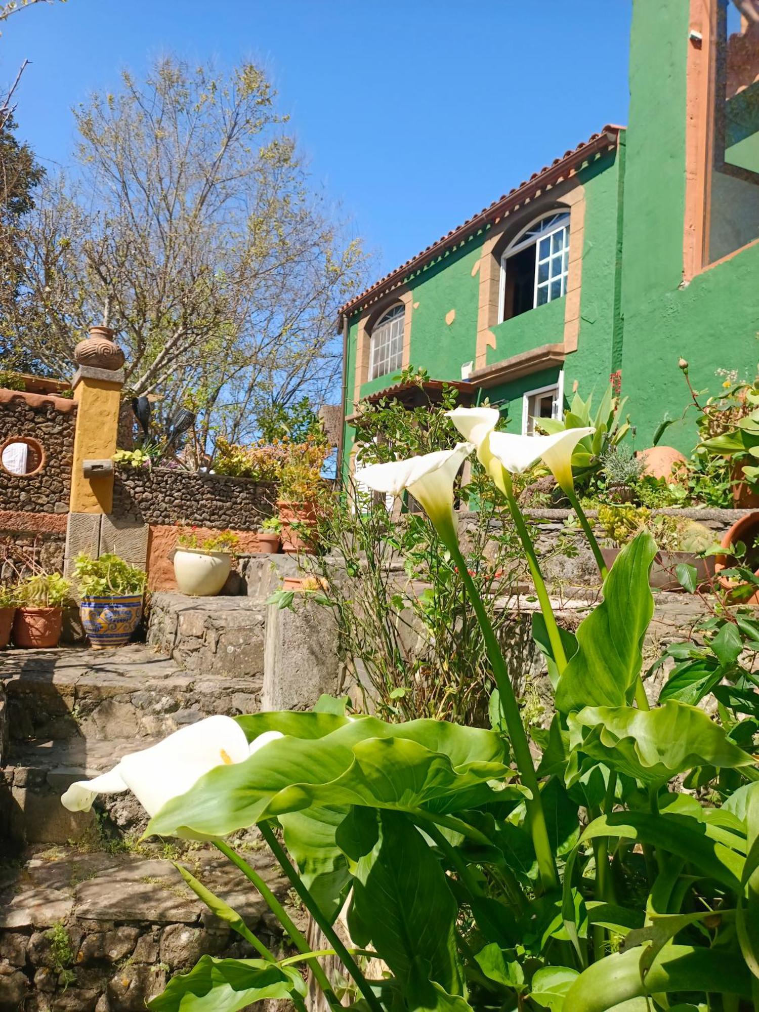 Matos, Canarian House In Chalet
