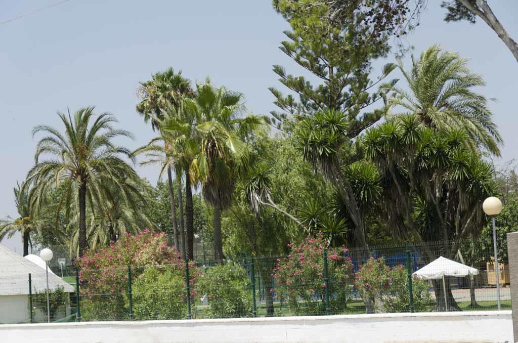 Campsite Bungalows-camping La Rana Verde