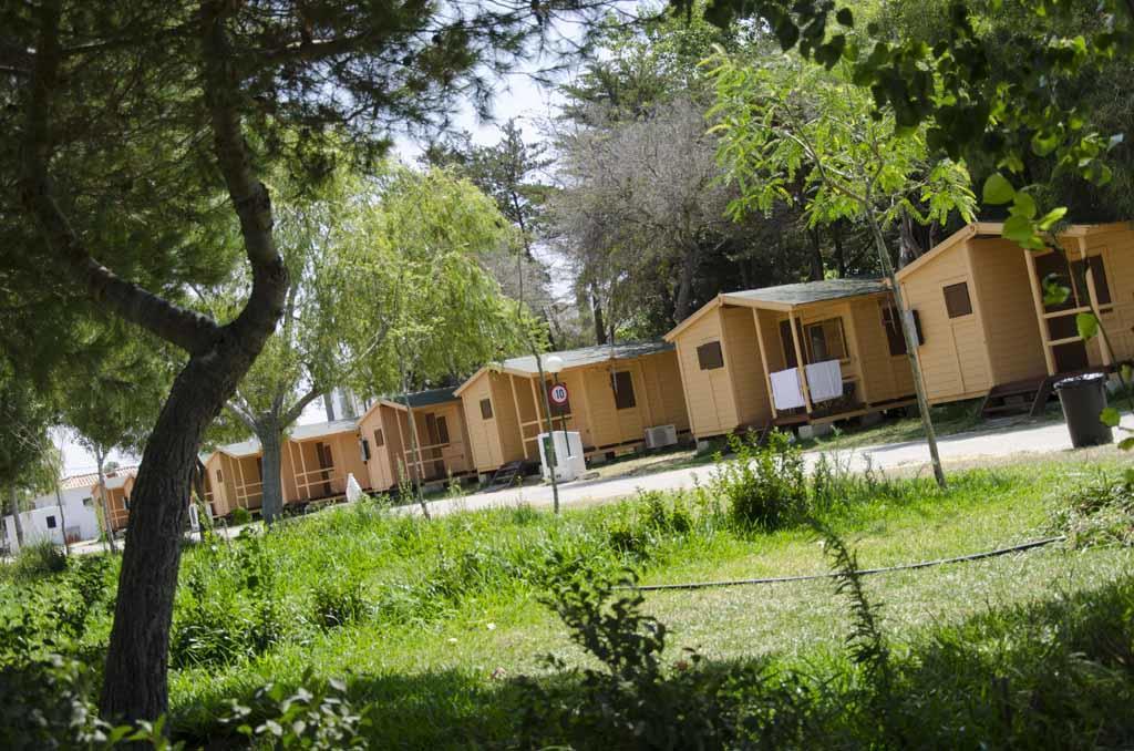 Bungalows-camping La Rana Verde