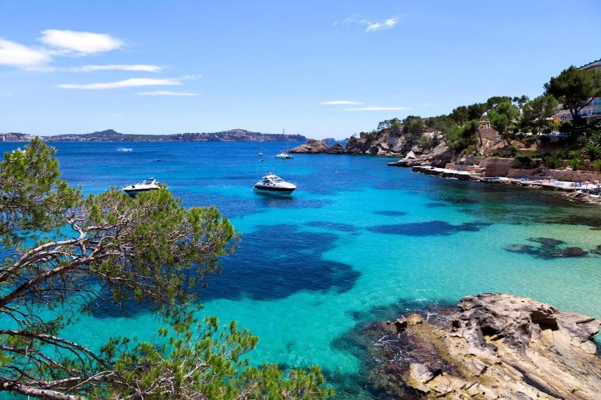 Alexandria Cala Sant Vicenc * Cala de Sant Vicenc