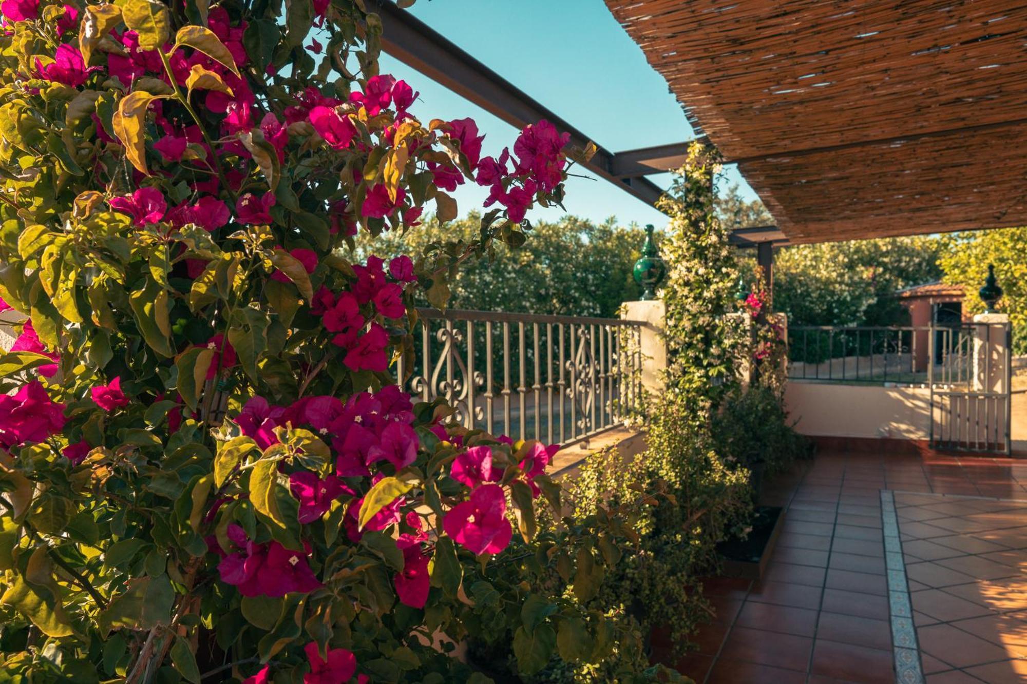 Chalet Origen Andevalo *