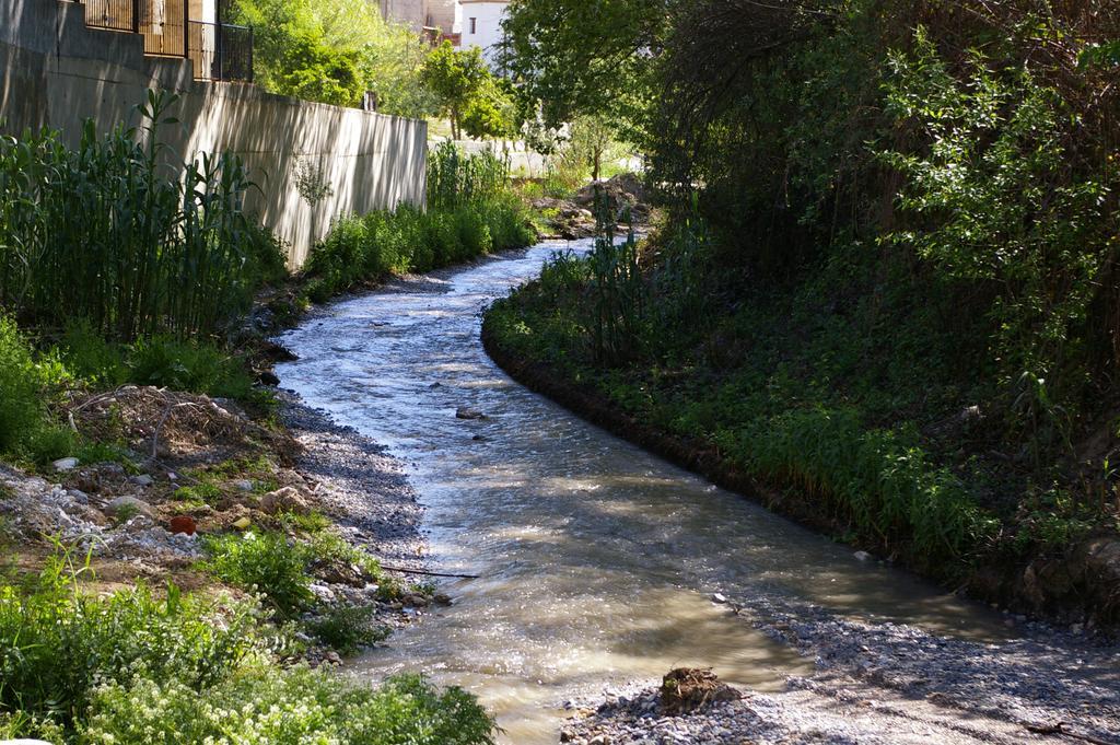 Y Rural Naranjos Melegís