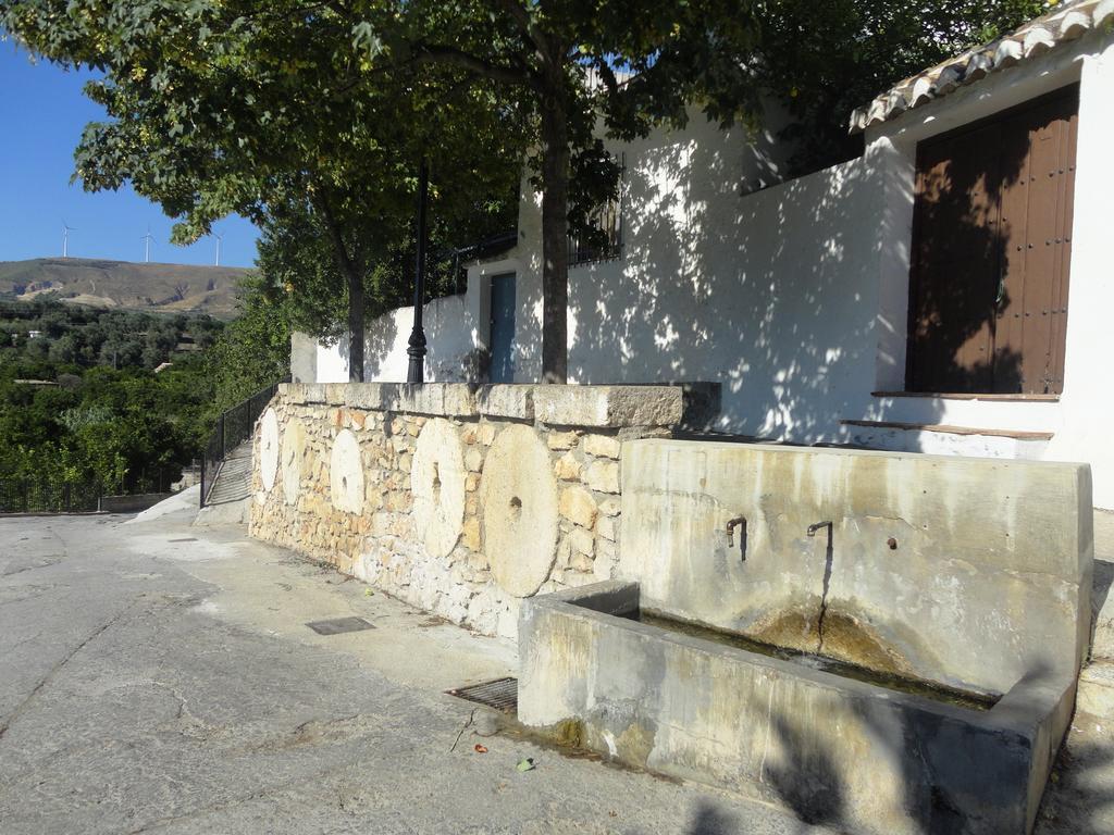 Y Rural Naranjos Melegís