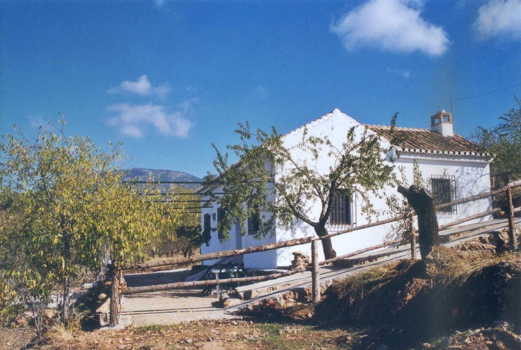 Cortijo Balzain Apartment *