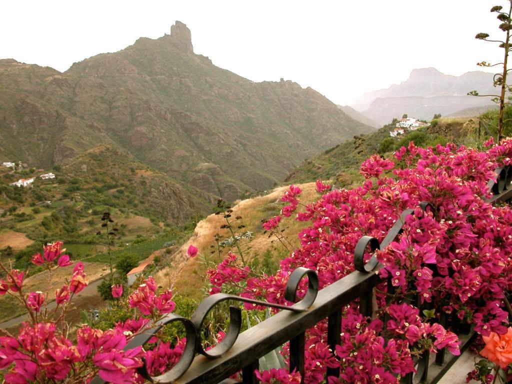Holiday home Casita Roque Nublo *