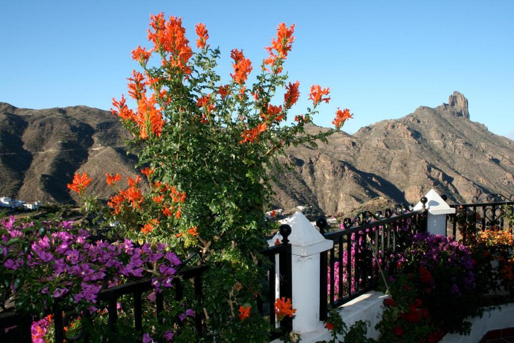 Casita Roque Nublo * Tejeda (Gran Canaria)