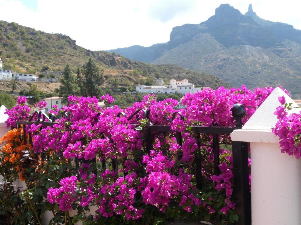 Casita Roque Nublo Holiday home Tejeda (Gran Canaria)