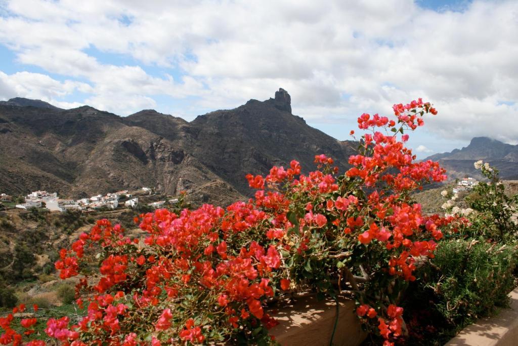 Casita Roque Nublo Holiday home *