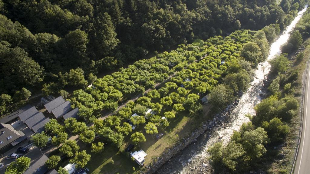 Verneda Mountain Camping Arrós