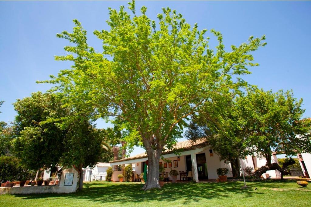 Inn La Bordalla