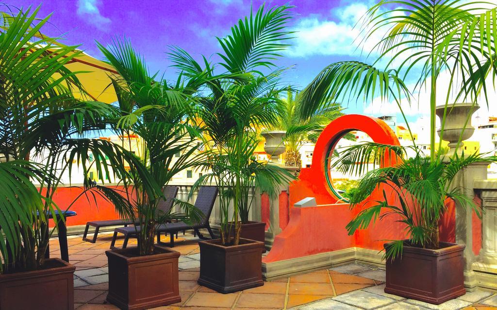 Apartment Rok Plaza (adults Only) Alcala (Tenerife)