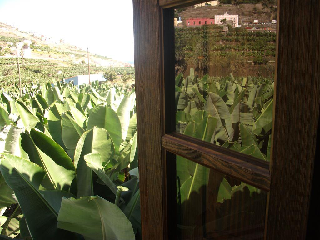Llano Campo *
