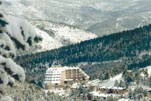 Hotel Alp 3*