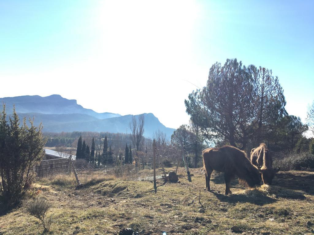 El Jou Nature Hotel Sant Corneli