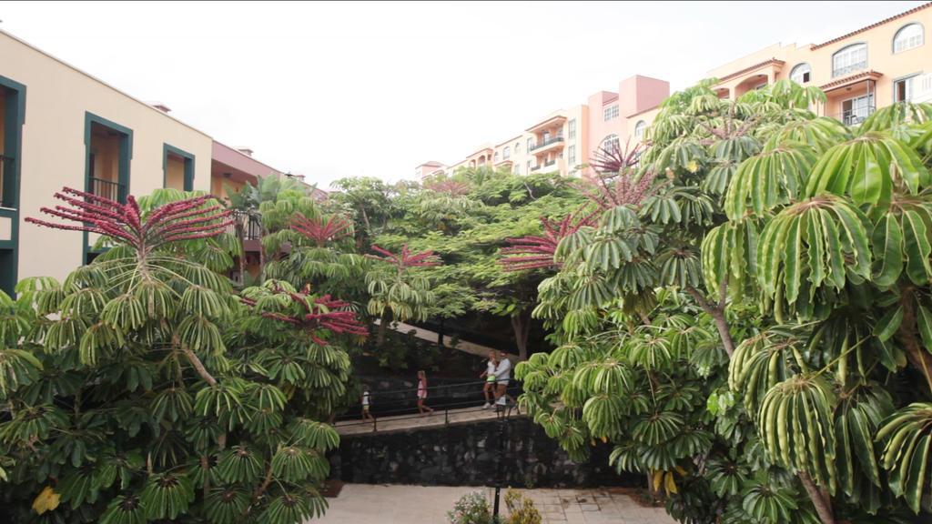 Apartment Olas *