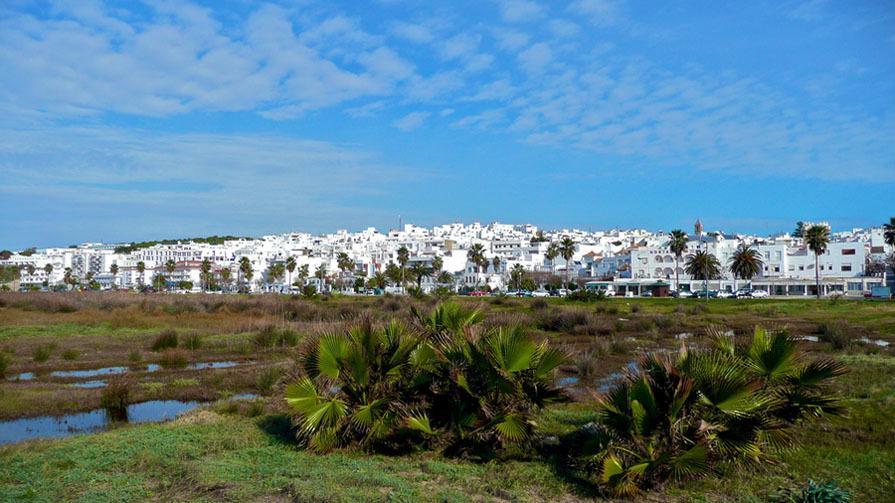 Ferreira Boutique Guest house Conil De La Frontera