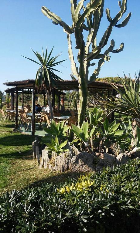 Restaurante La Ilusion * El Palmar (Andalucia)