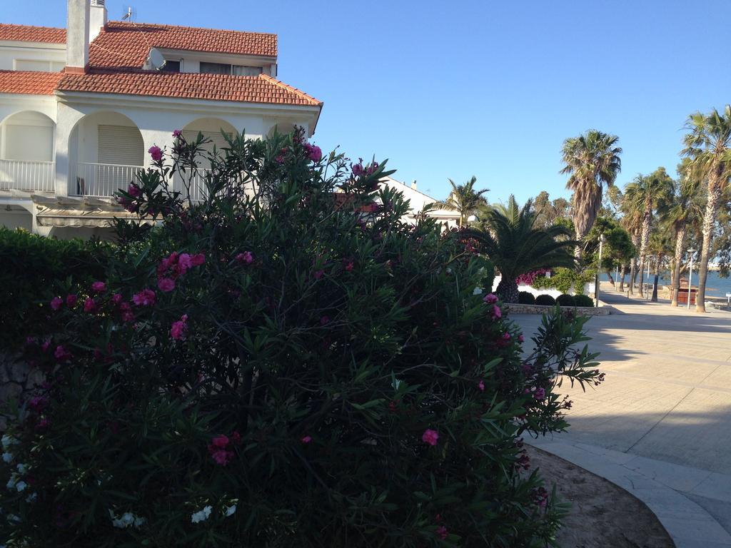 Ornis Platja Apartamento