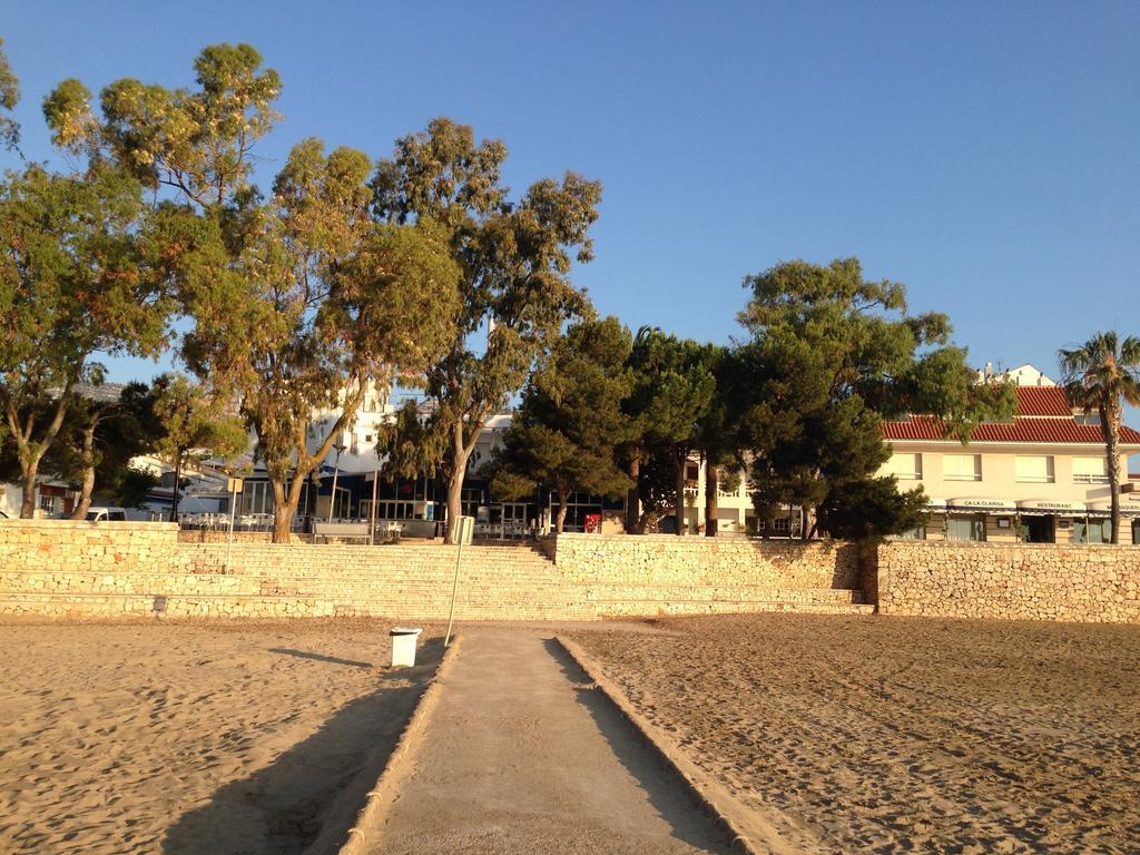 Ornis Platja Sant Carlos de la Ràpita