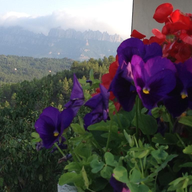 Castell De Guardiola Bed & Breakfast