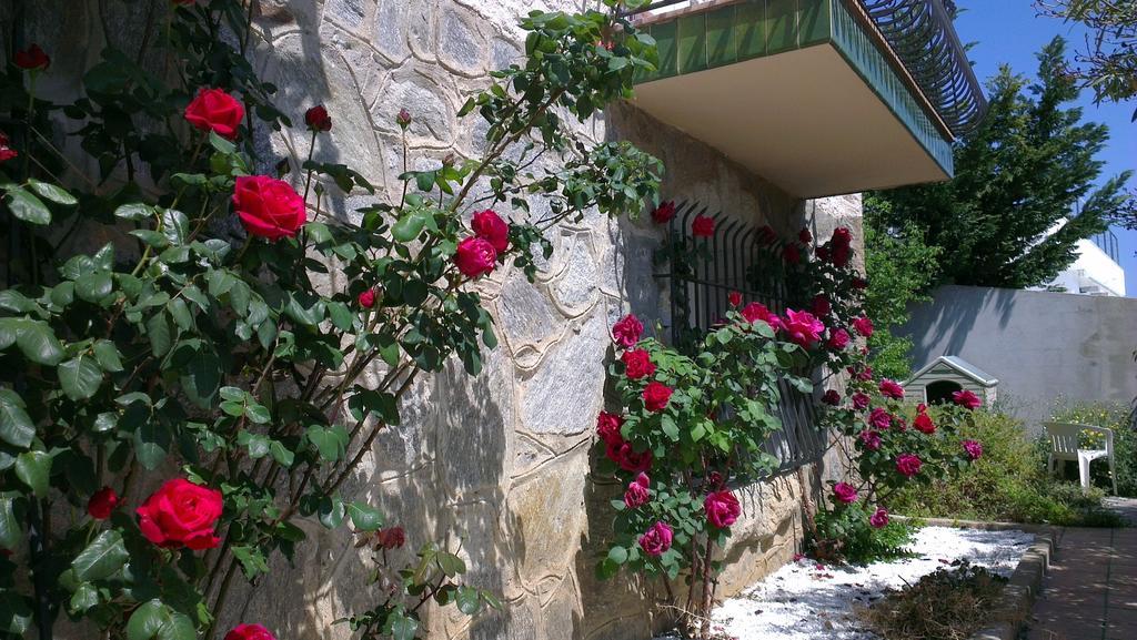 L'encantarella * Roses