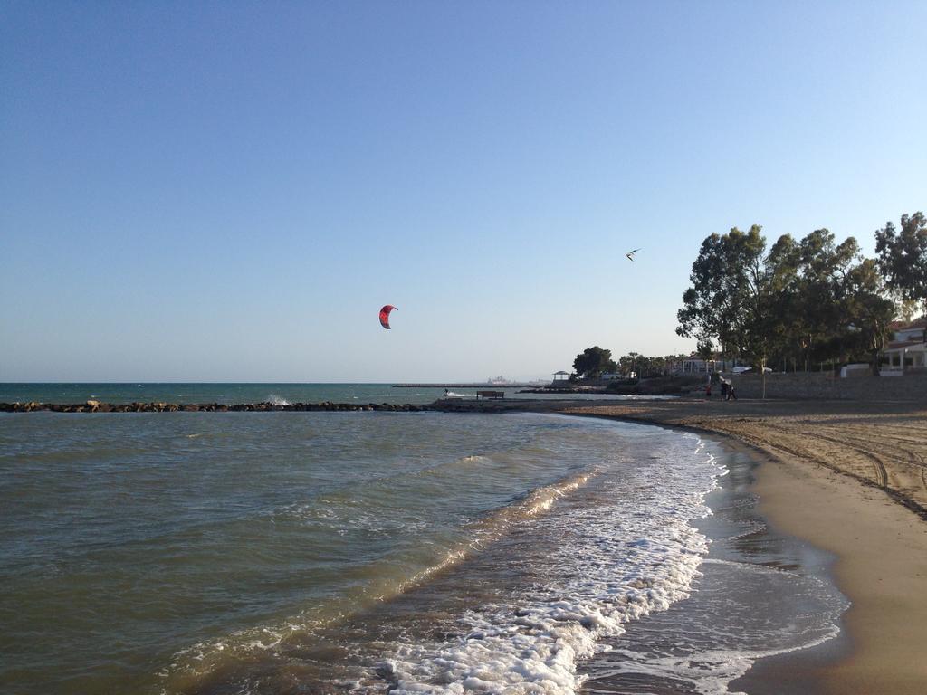 Ornis Platja Sant Carlos de la Ràpita