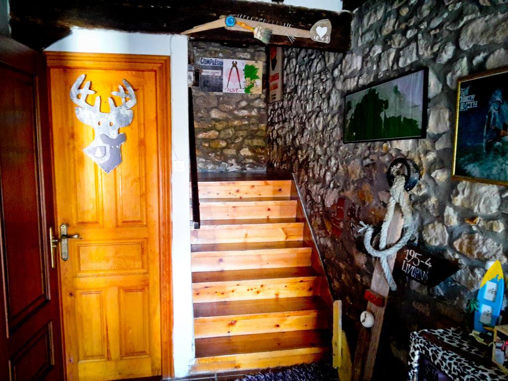 Surftolive House *