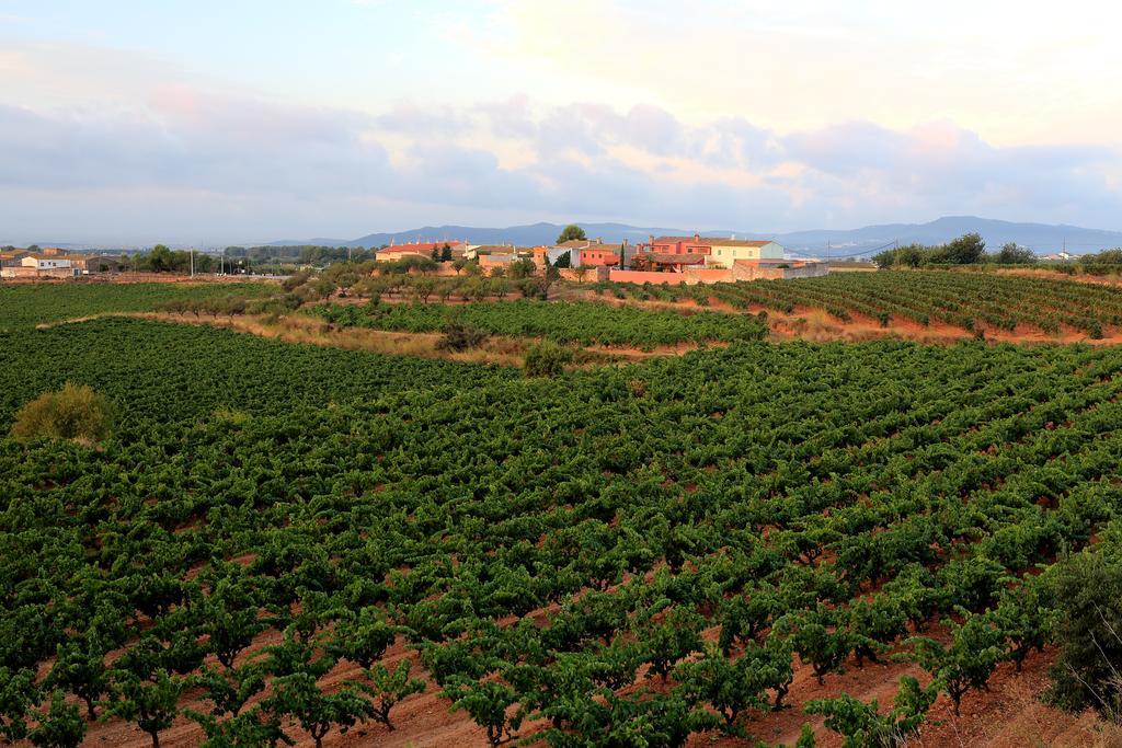 Mas Castell De Gimenelles Hotel