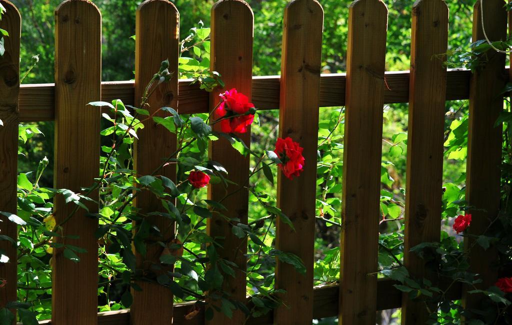 Holiday home La Casita