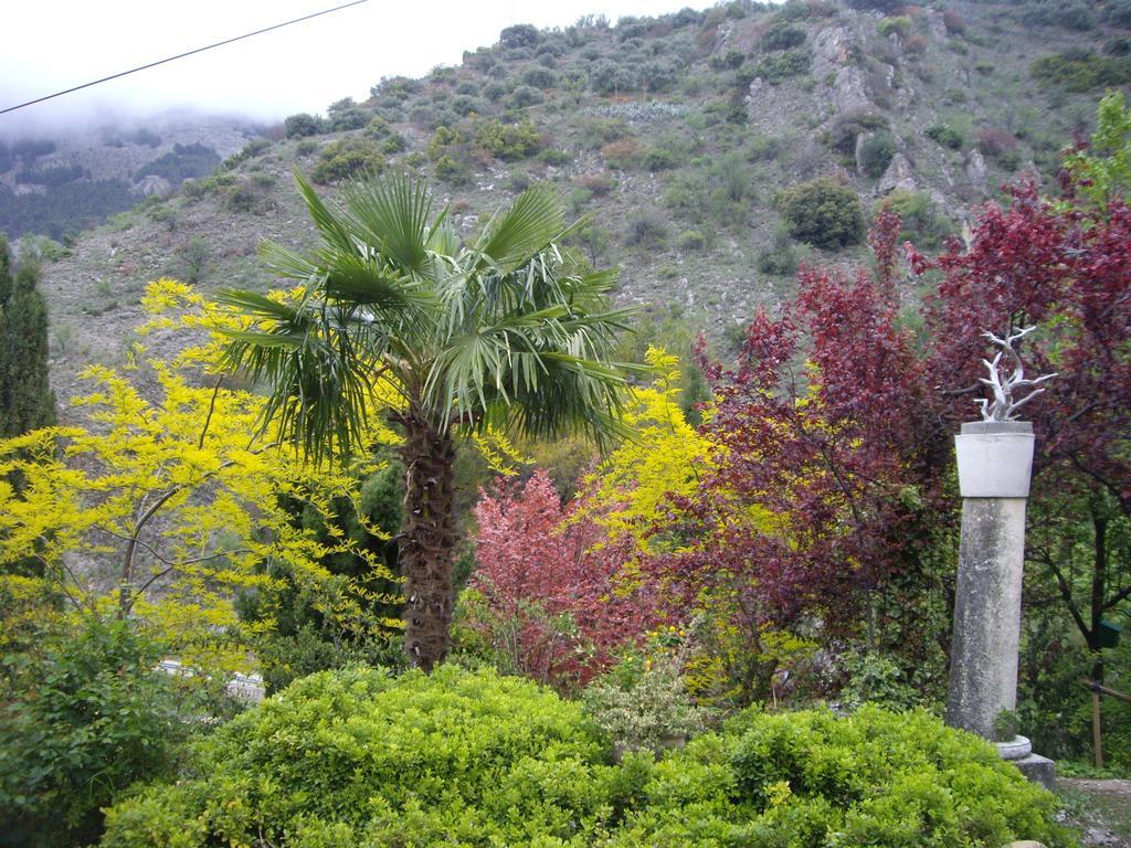 La Casita Torres (Jaen)