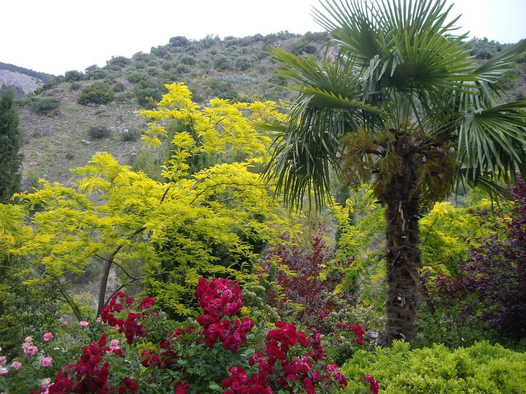 Holiday home La Casita *