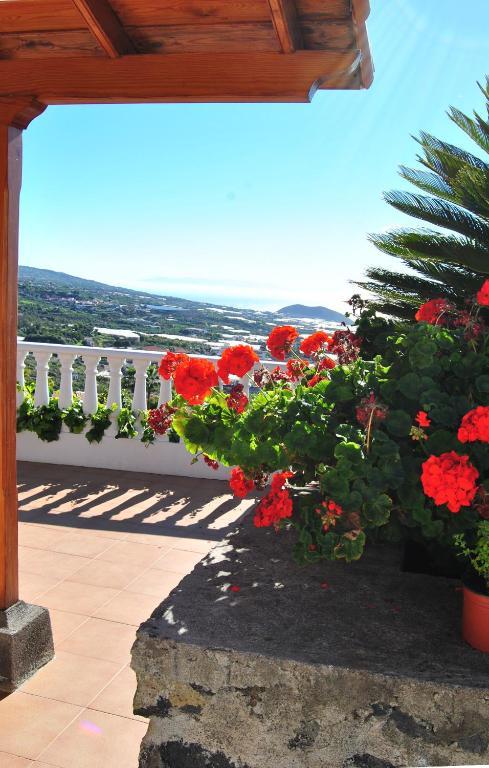 Casitas Rosheli *