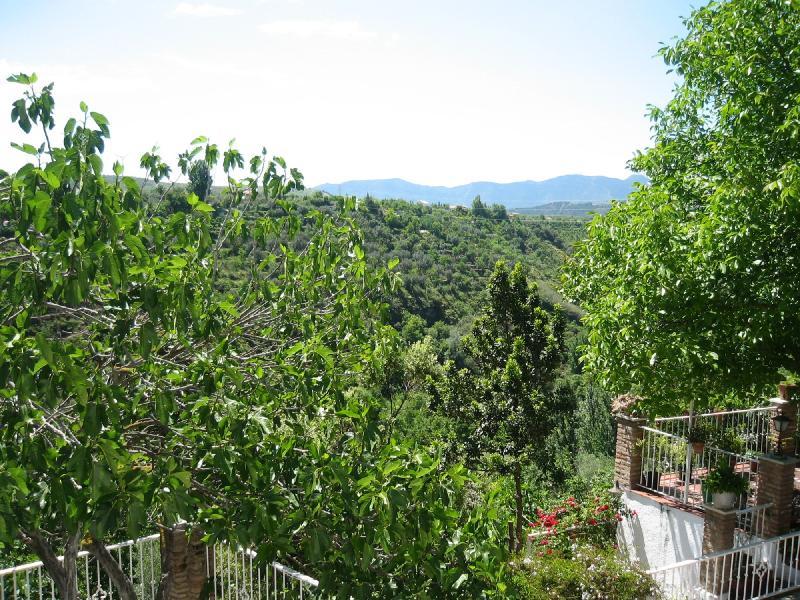 Rural El Valle