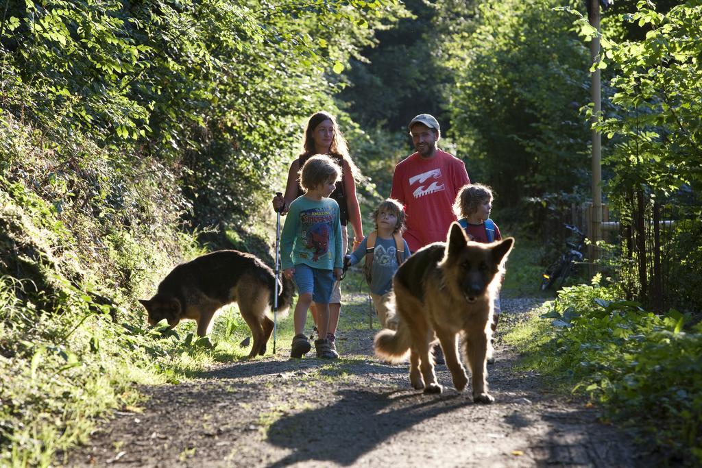 Verneda Mountain Camping Arrós