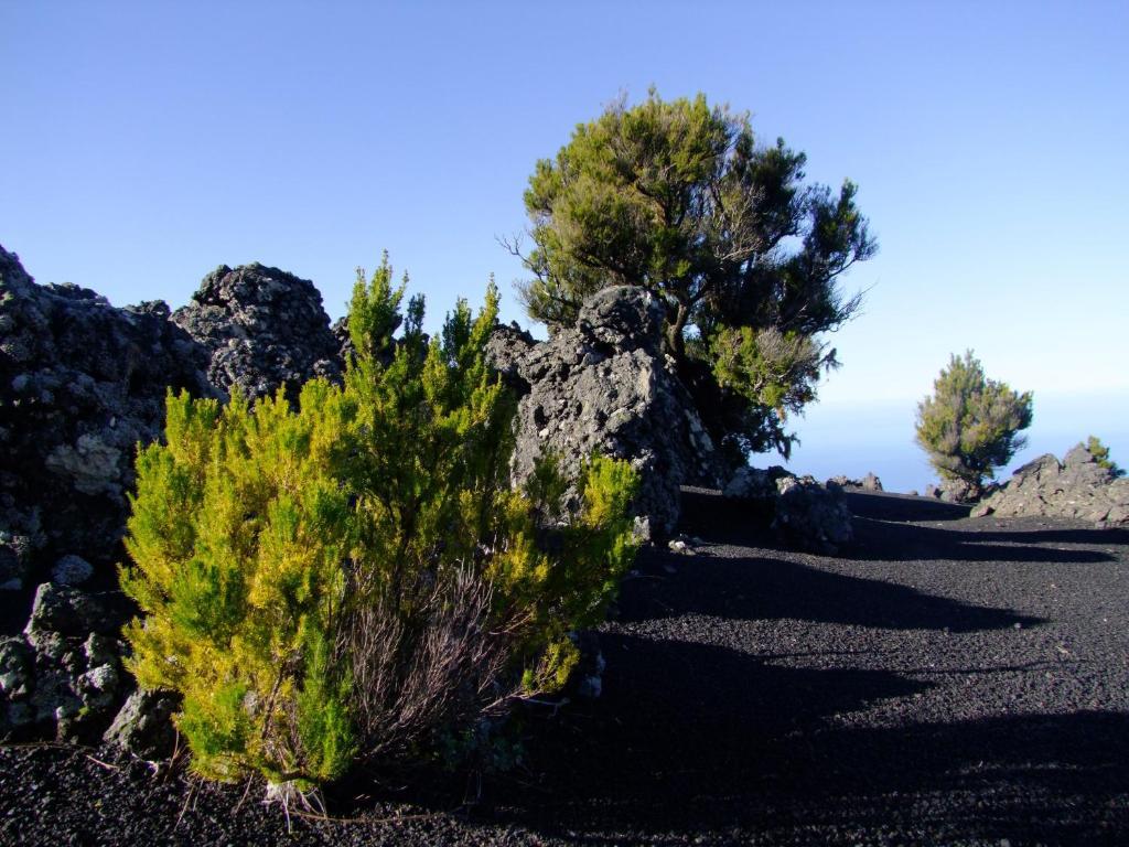 Villa Cercas