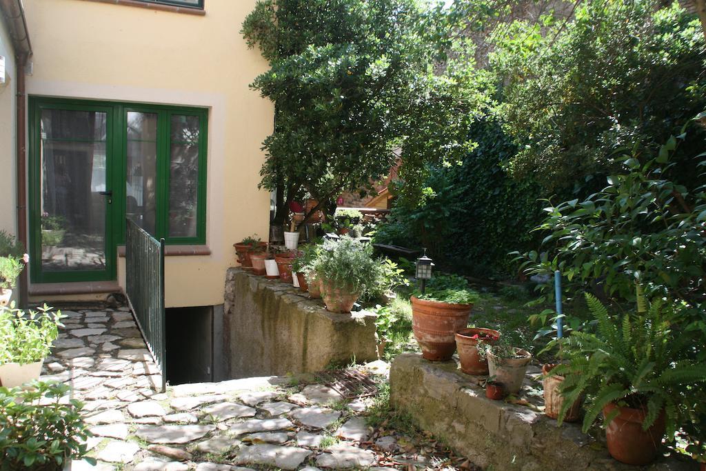 Pensión B&B Sallent Sallent