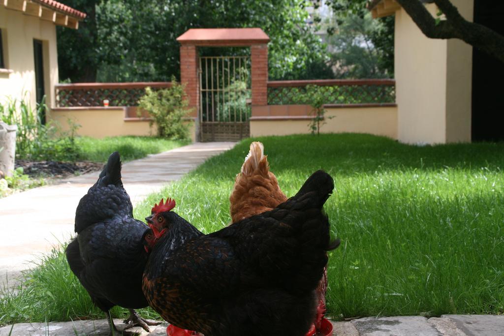 Pensión B&B Sallent 3*