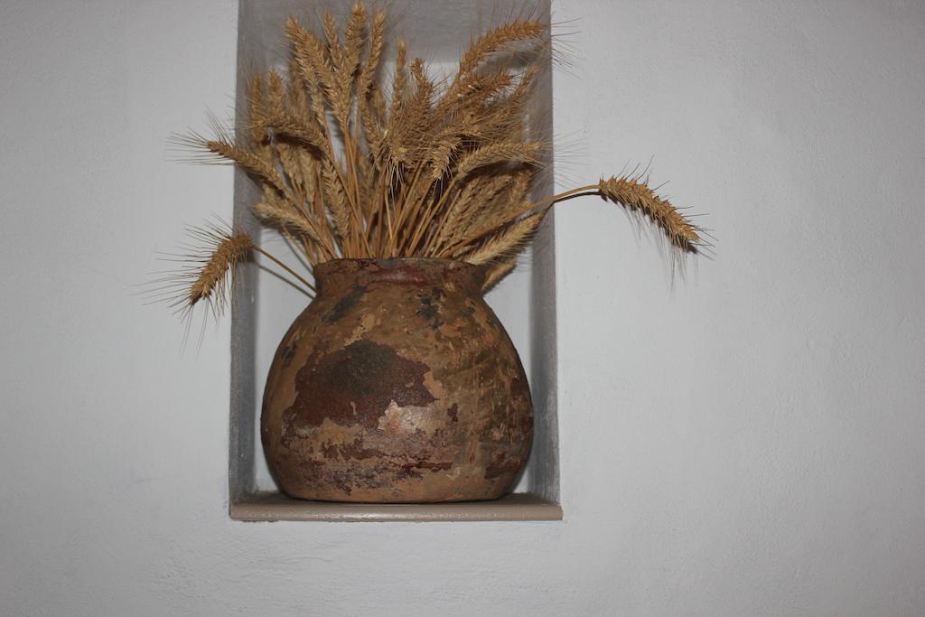 Casa Abuelo Rafael
