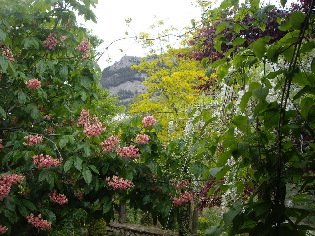 Holiday home La Casita