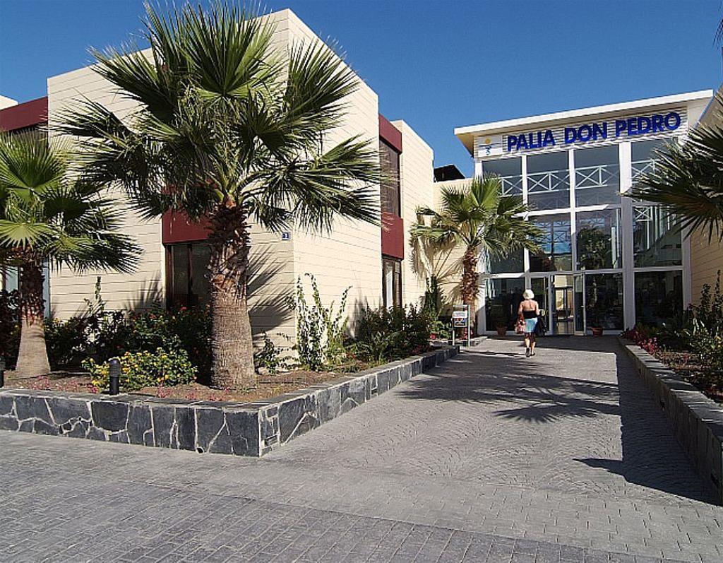 Palia Don Pedro