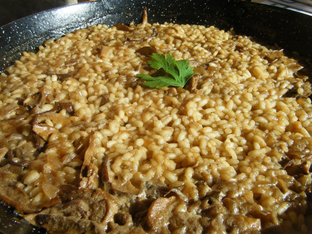 Pensión Fonda Ca L'abel Lles